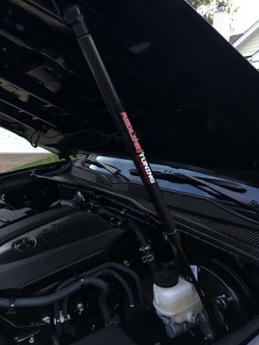 Struts installed for the hood.