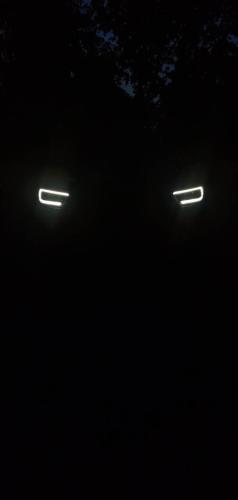 Cool Looking Light at Night