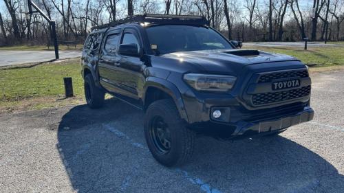 Tacoma 